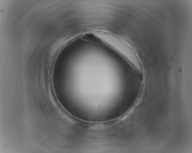 X0000073930097200609011844