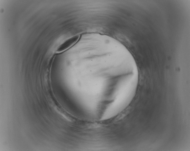 X0000073930098200609011844