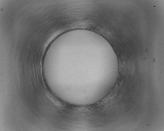 X0000073930100200609011844