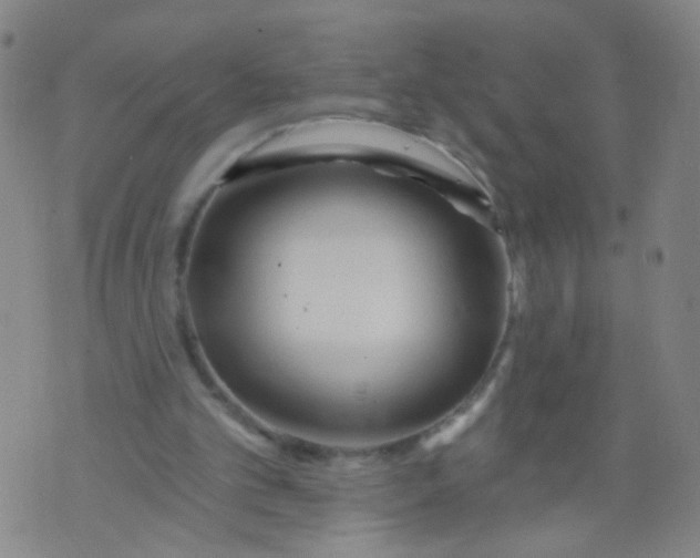 X0000073930101200609011844