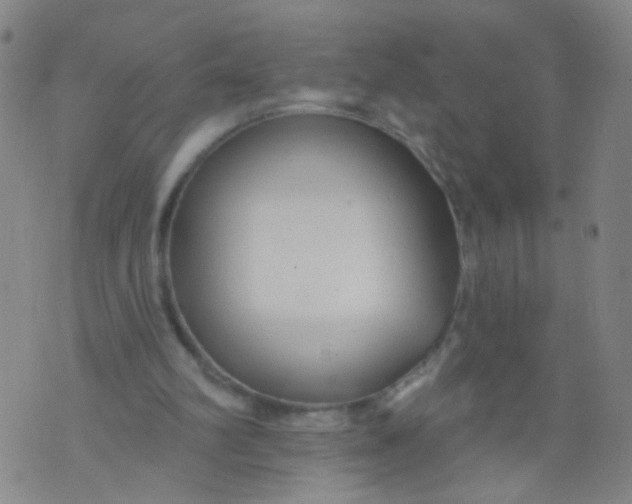 X0000073930102200609011844