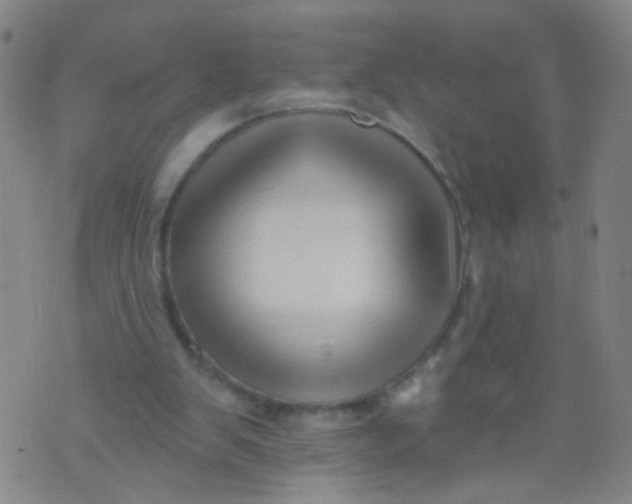 X0000073930103200609011844