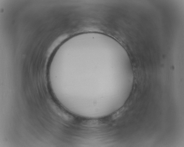 X0000073930104200609011844