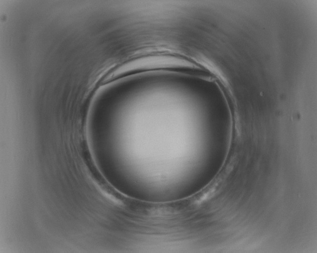 X0000073930105200609011844