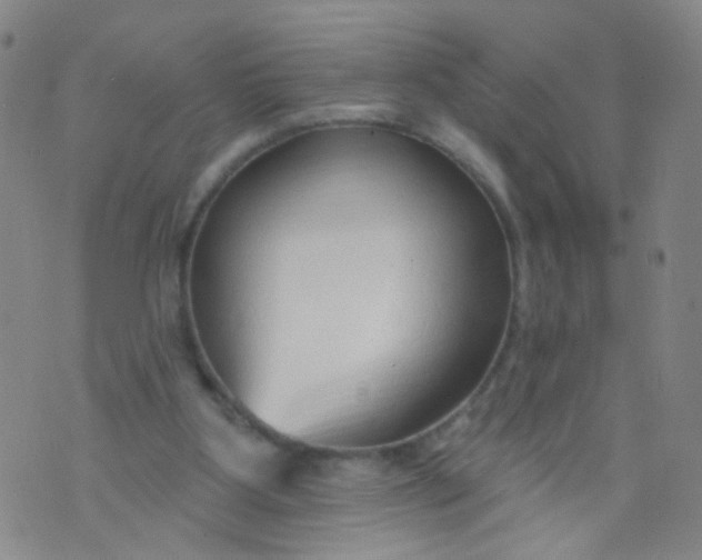 X0000073930107200609011844