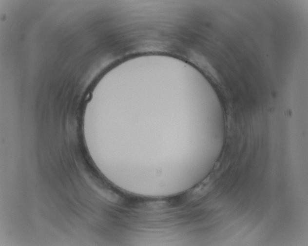 X0000073930108200609011844