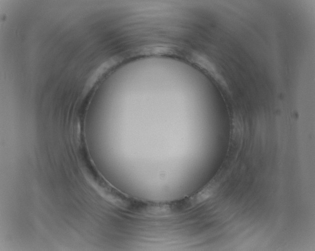 X0000073930110200609011844