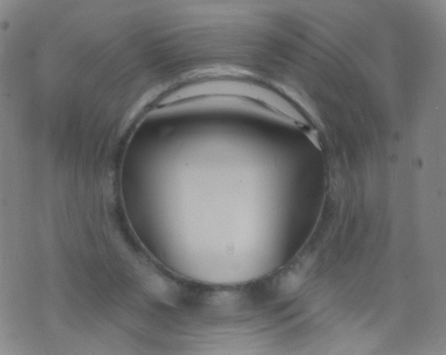 X0000073930111200609011844