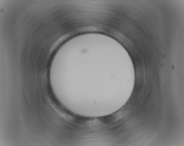 X0000073930112200609011844