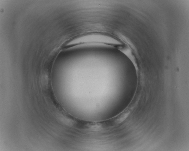 X0000073930113200609011844