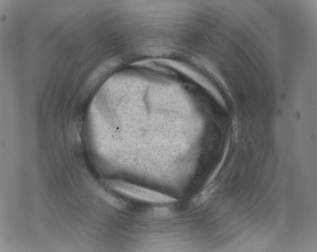 X0000073930114200609011844