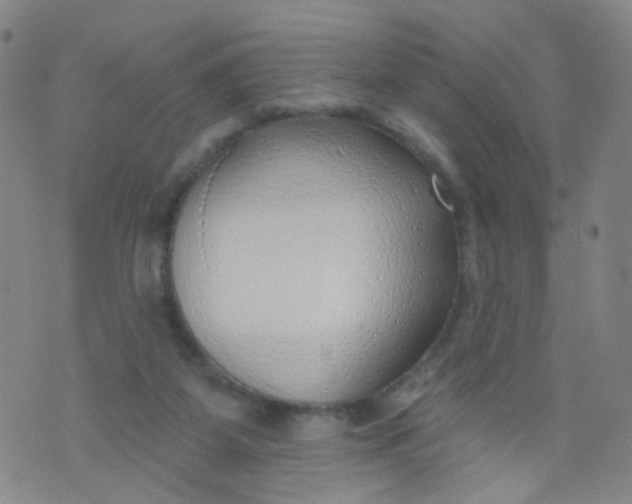 X0000073930115200609011844