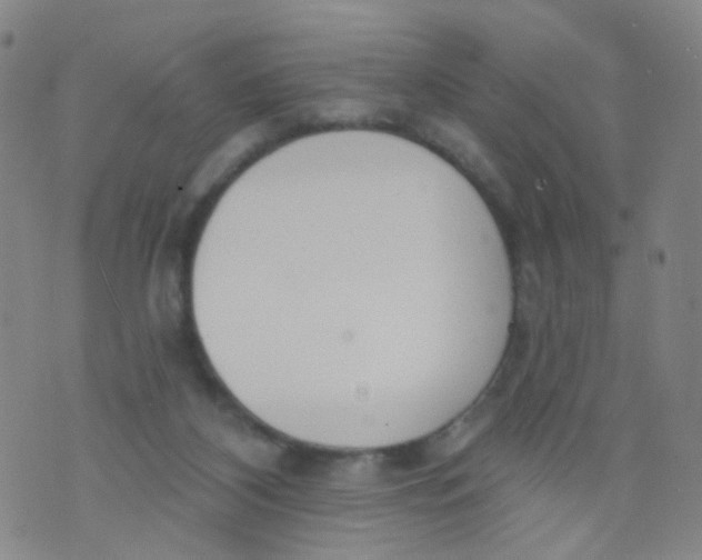 X0000073930116200609011844