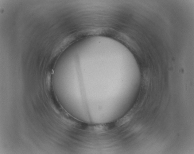 X0000073930118200609011844