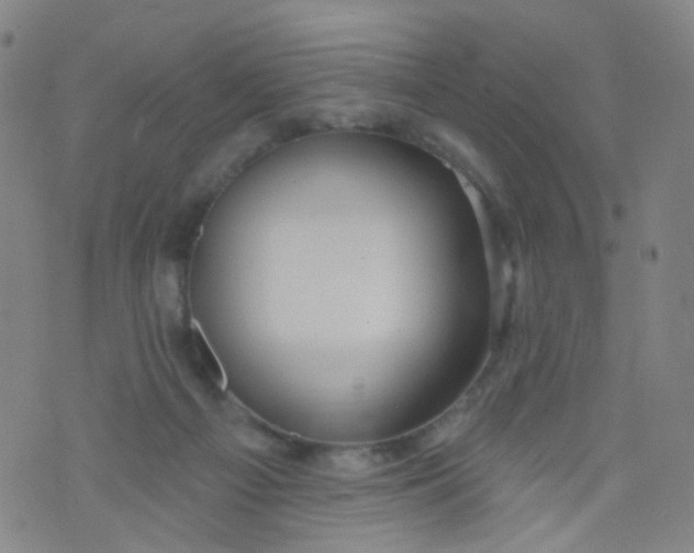 X0000073930121200609011844