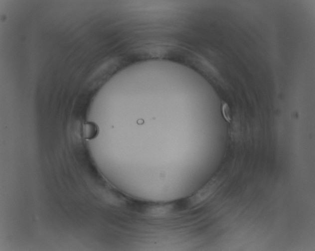 X0000073930122200609011844