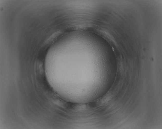 X0000073930123200609011844