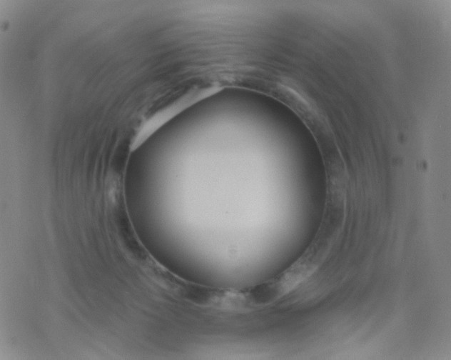 X0000073930125200609011844