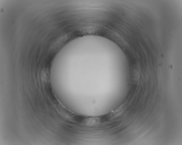 X0000073930126200609011844