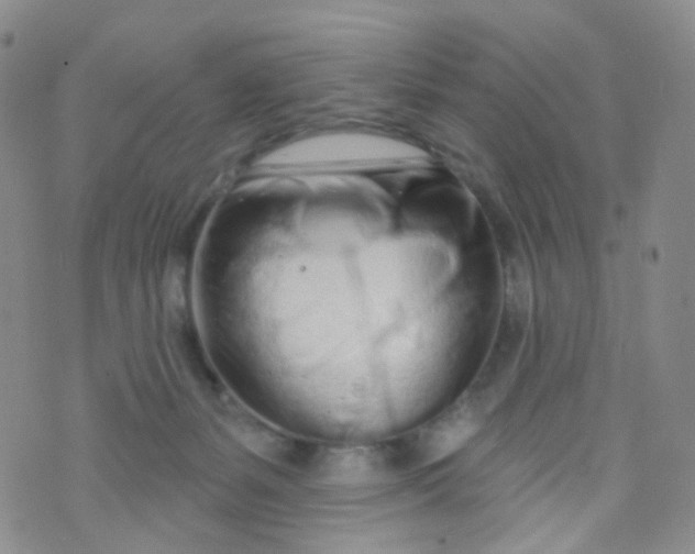 X0000073930127200609011844