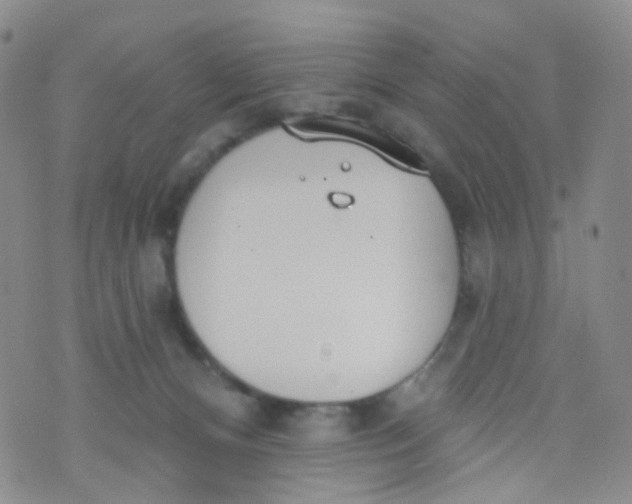 X0000073930128200609011844