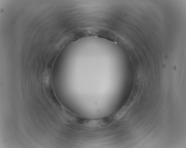 X0000073930129200609011844