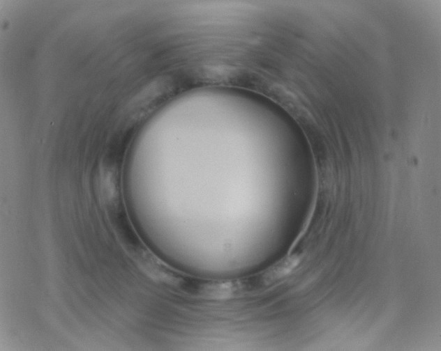 X0000073930131200609011844