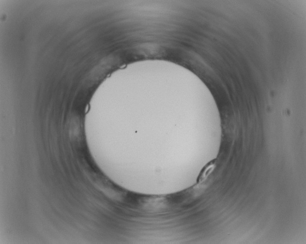 X0000073930132200609011844