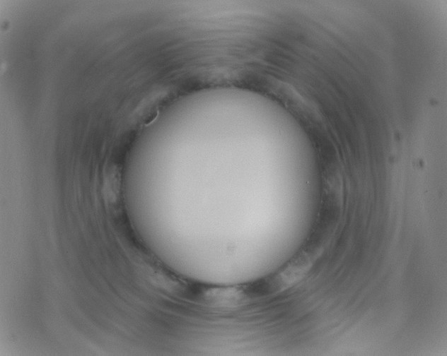 X0000073930133200609011844