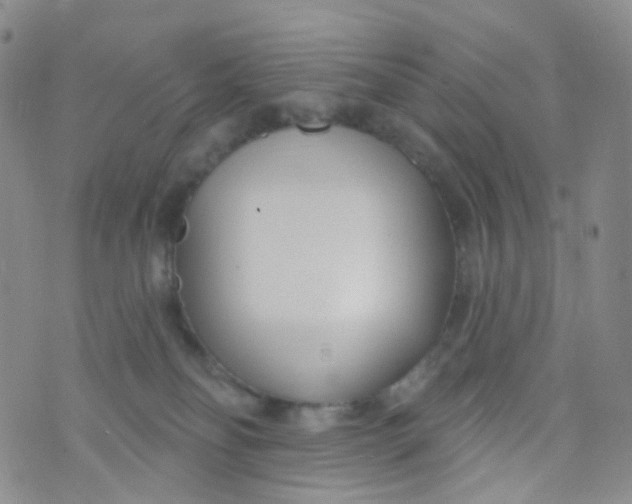 X0000073930134200609011844