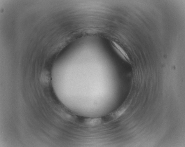 X0000073930135200609011844