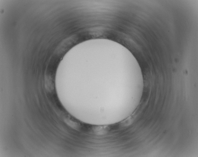 X0000073930136200609011844