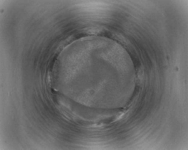 X0000073930137200609011844