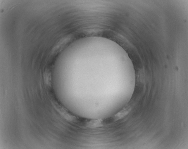 X0000073930138200609011844