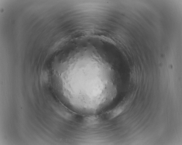 X0000073930139200609011844