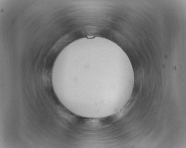 X0000073930140200609011844