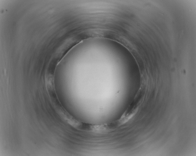 X0000073930141200609011844