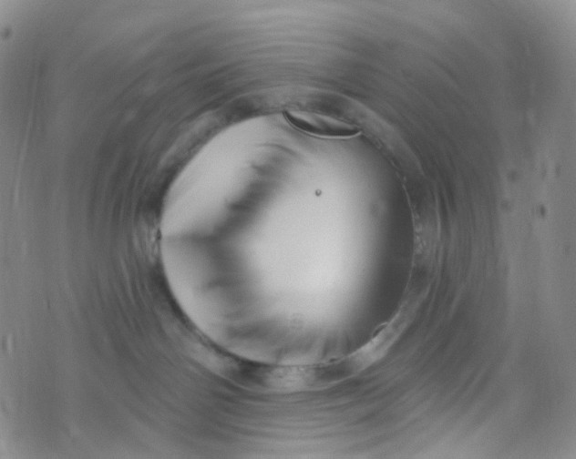 X0000073930142200609011844