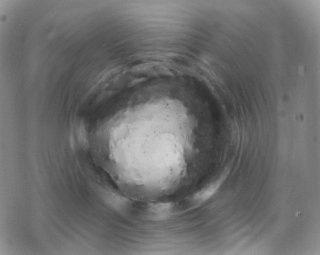 X0000073930143200609011844