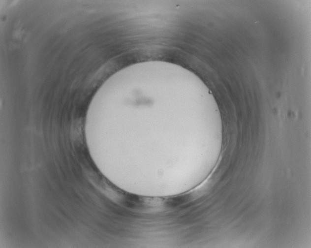 X0000073930144200609011844