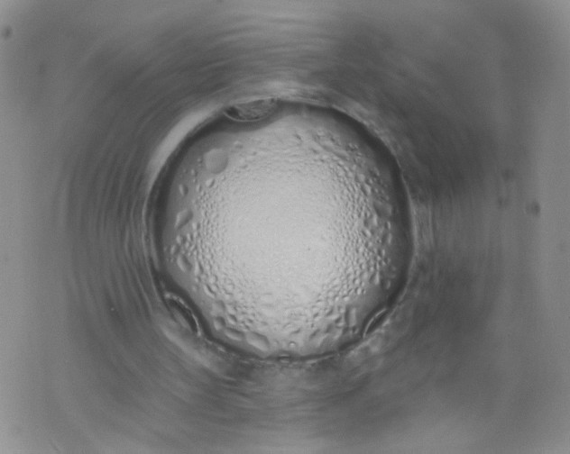 X0000073930147200609011843