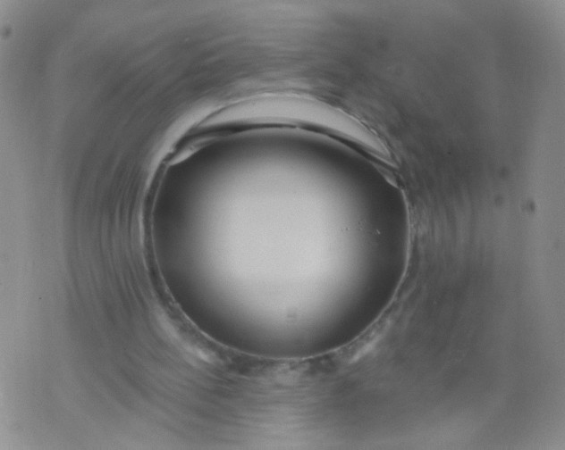 X0000073930148200609011843