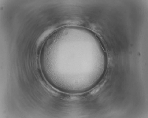 X0000073930149200609011843