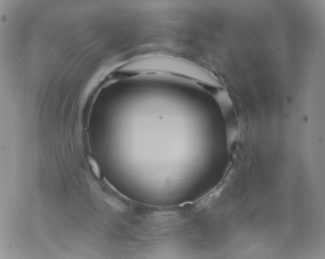 X0000073930150200609011843