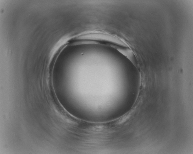 X0000073930152200609011843