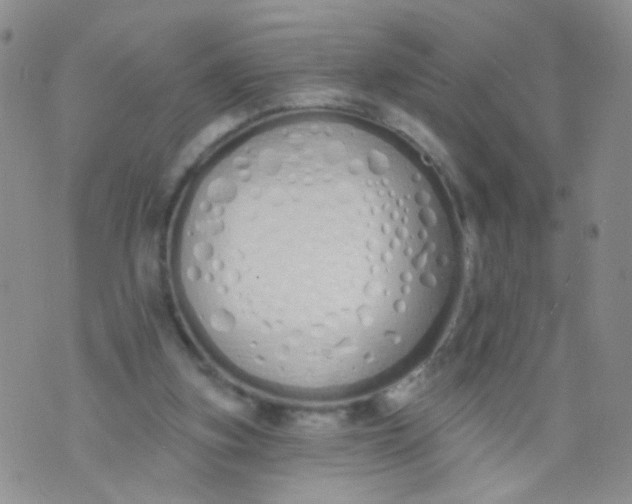 X0000073930155200609011843