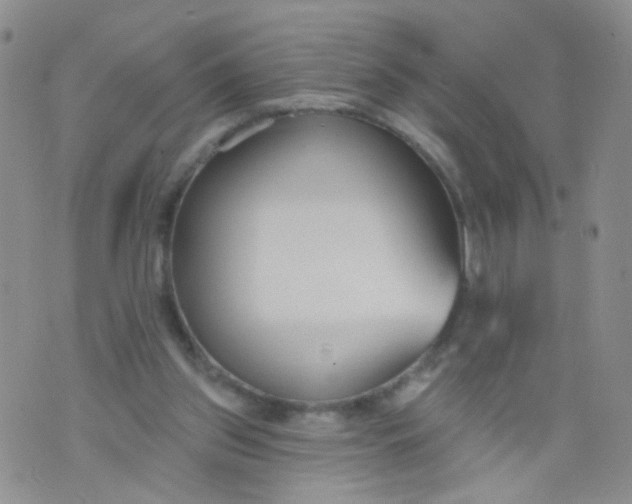 X0000073930157200609011843