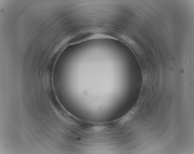 X0000073930158200609011843