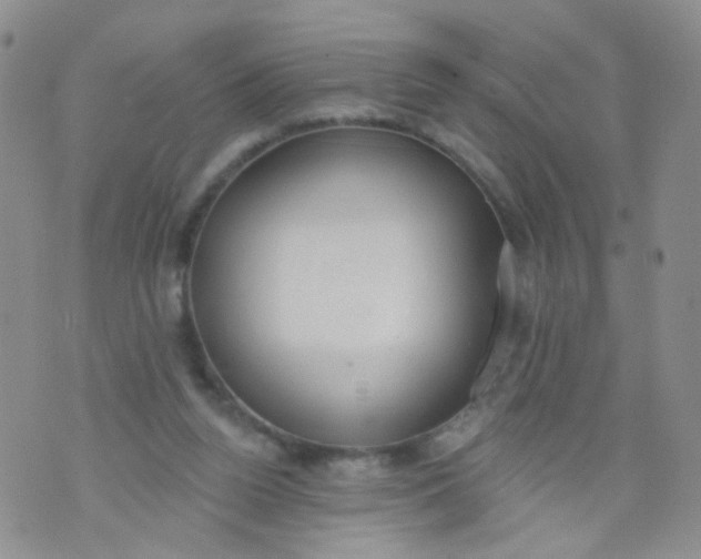 X0000073930160200609011843