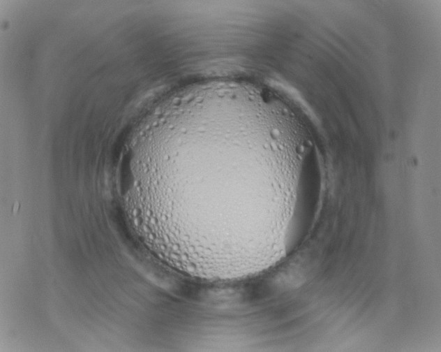 X0000073930161200609011843